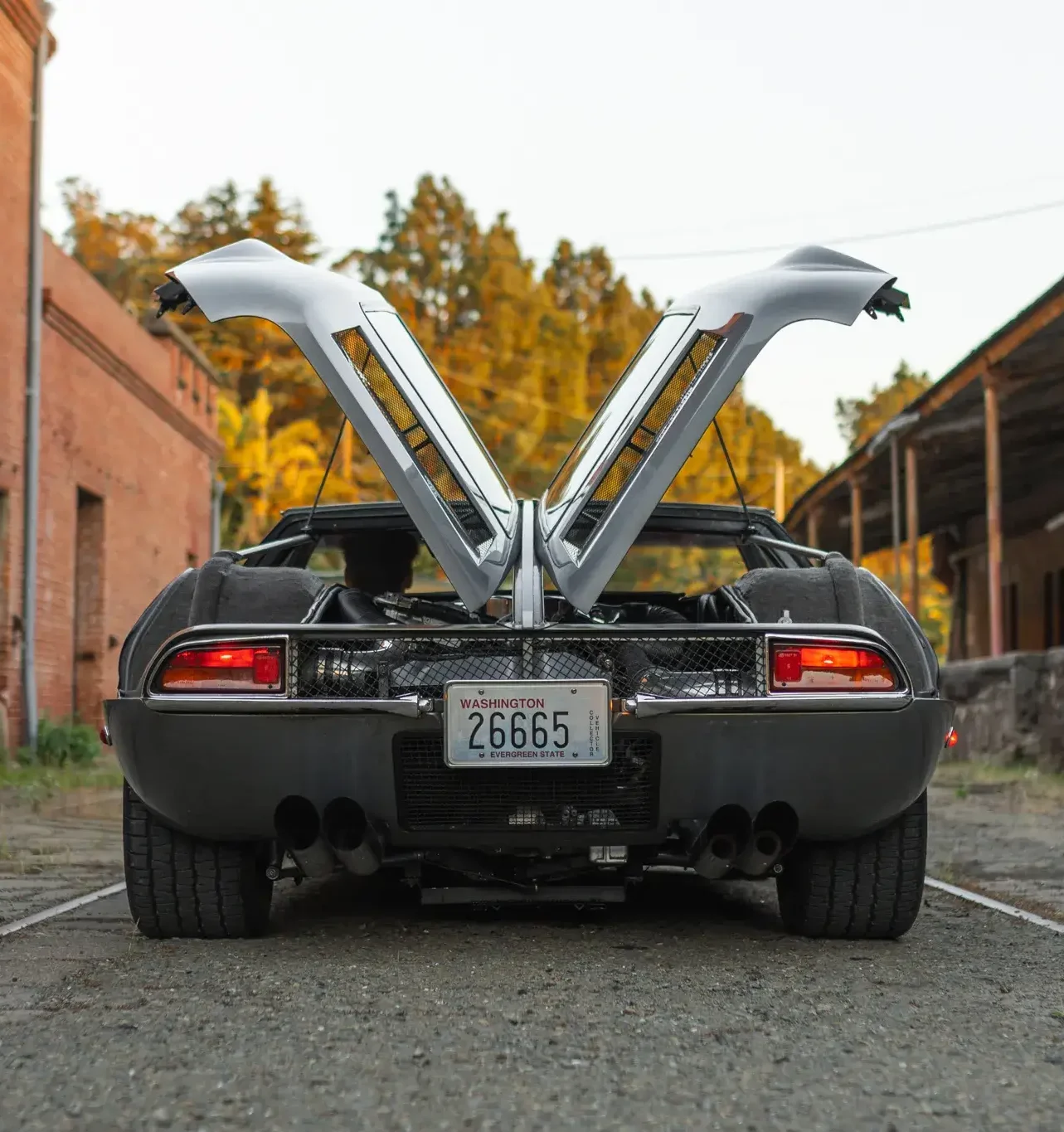 1969 DeTomaso Mangusta Rear View & Engine Bay